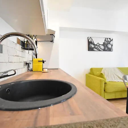 Exceptionnel Loft Vieil Mer A Pieds 公寓 *
